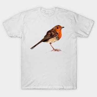 European robin ink and watercolour T-Shirt